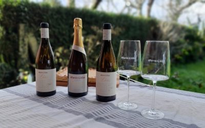 Demostrando el potencial de guarda del albariño: Cata vertical de Martín Códax sobre lías
