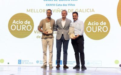 Cuñas Davia e Vía Romana, gañadores das catas oficiais de Galicia
