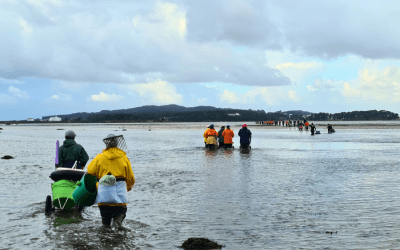 La Deputación de Pontevedra pone en marcha las Rutas Sensoriales de Marisqueo