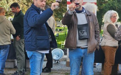 Bragança Wine Experience reunió a 23 productores y cerca de 150 vinos para impulsar la proyección de Trás-os-Montes